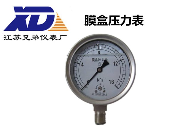 膜盒压力表